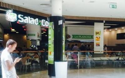Salad & Co