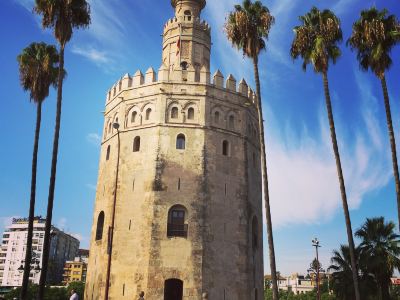 Bodegon Torre del Oro