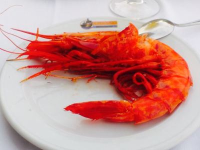 El Pesquero