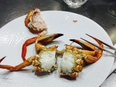 Canabota